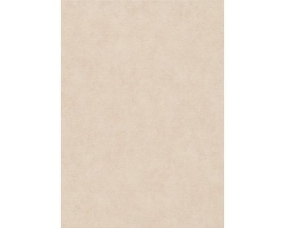 Vliestapete 10473-05 Elysium Uni rosa 10,05 x 0,53 m