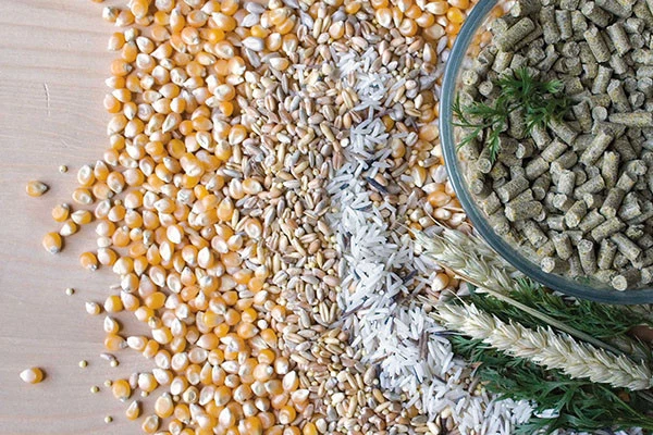 Vogelfutter Papageienfutter Pellets für Papageien - 750 gr Hauptnahrung MEDIUM