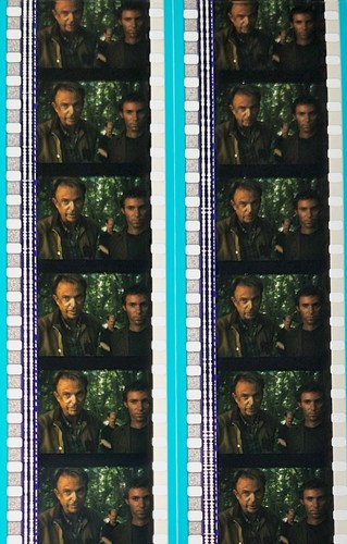 Jurassic Park 3 2001 Very Rare Unmounted 35mm Film Cells - Picture 47 of 51