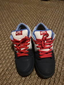 nike sb dunk dorothy