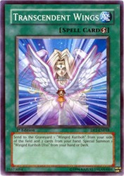 Transcendent Wings DP1-EN018 1st Edition Common