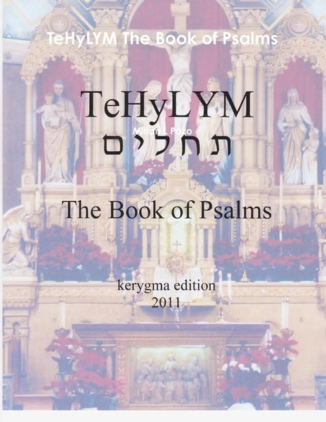 Tehylym The Book Of Psalms Milton L Pozo Taschenbuch Kartoniert / Broschiert-image