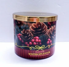 Goose Creek WINTER SPLENDOR Large 3-Wick Scented Candle, 14.5 oz