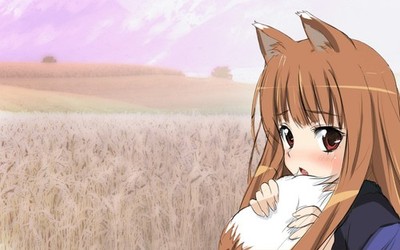 Anime holo spice wolf girls tail field landscape Custom Gaming Mat Desk