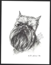 #368 BRUSSELS GRIFFON portrait dog art print ...