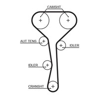 Zahnriemen FüR Renault Clio II Espace III Laguna I Grandtour Megane Megane
