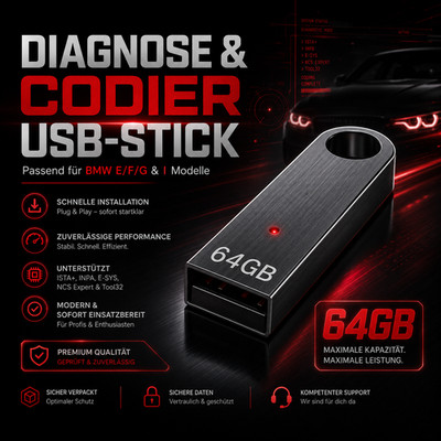 USB DIAGNOSE STICK passend für BMW E F G I Modelle & ISTA+ RHEINGOLD ESYS INPA