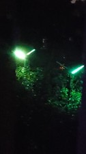 Govee Outdoor Garden Lights 1 Arm Not Working