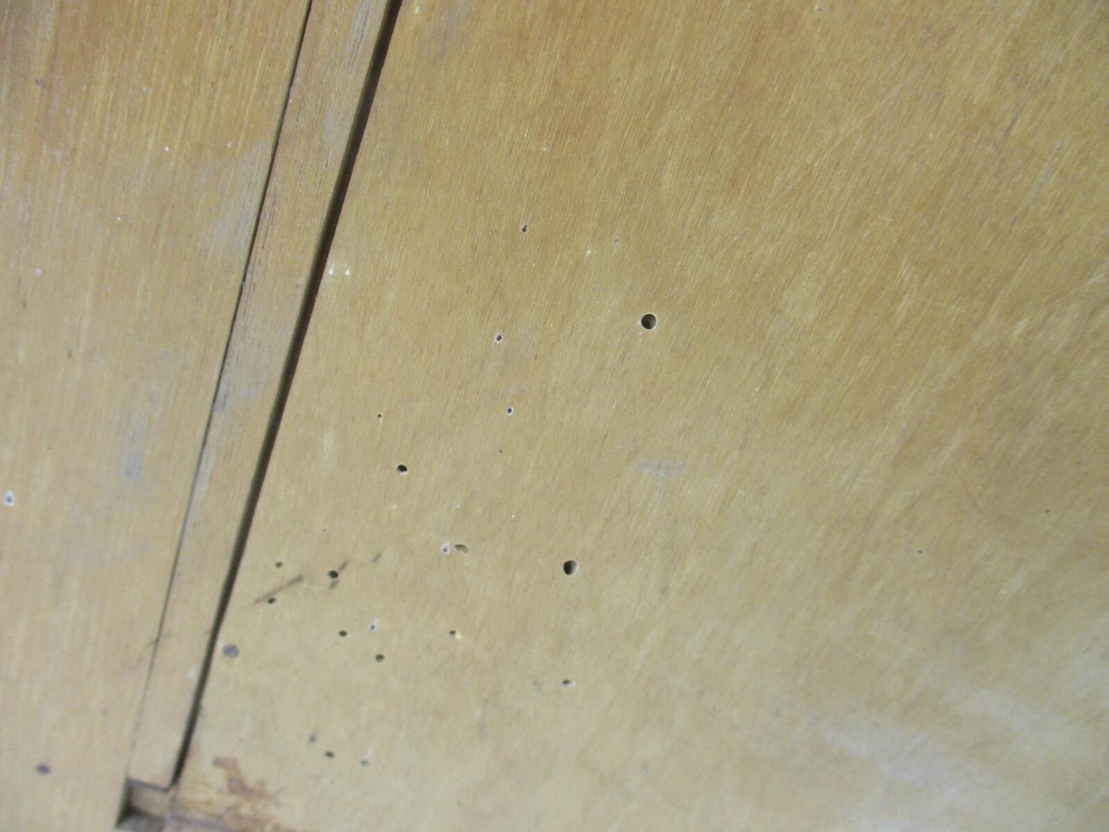 Picture 8 of 8
