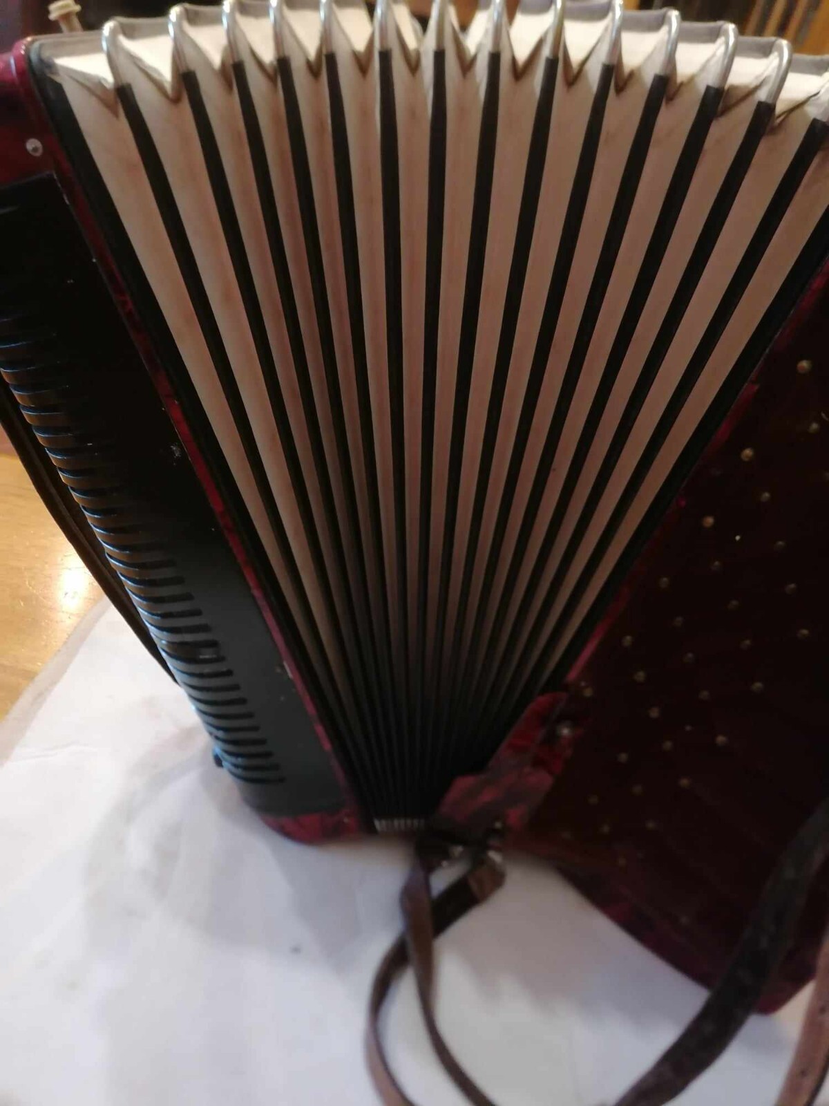 Cinghie Per Fisarmonica 10 Cm - Made In Italy, Nere, Adatte A Tutti I Modelli Cinghia Fisarmonica - Foto 5