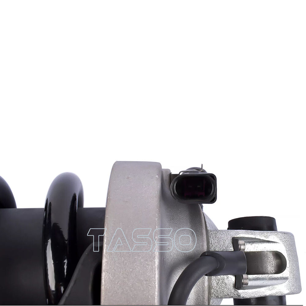 2X Rear Left Right Shock Absorber Strut MagneRide For Audi R8 V8 V10 2007-2015