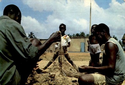 Togo, fishing nets, 10th anniversary, missing, updates, well-being, Postcard