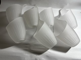 Frosted Glass Ornamental Light Shades Lilly Shaped