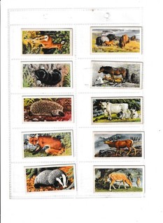 Full set of 50 British Wild Life (Great Britain) Cards from Brooke Bond Tea.