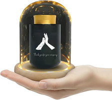 Small Dog Urn for Ashes Mini Memorial Decorative Keepsake Comes Glass Display wi