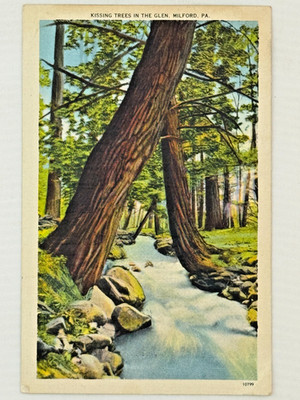 Kissing Trees in the Glen Milford PA Vintage Linen Postcard Pennsylvania 1946