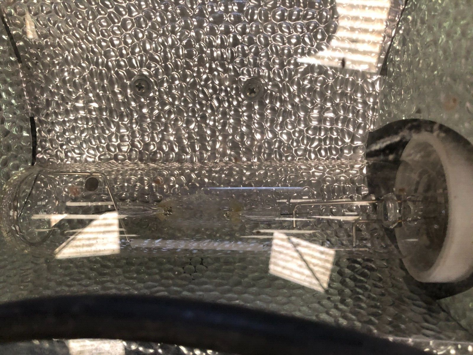 Picture 5 of 6