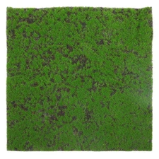 Micro Landscape Grass Lawn Simulated Moss Mat Artificial for Decoration