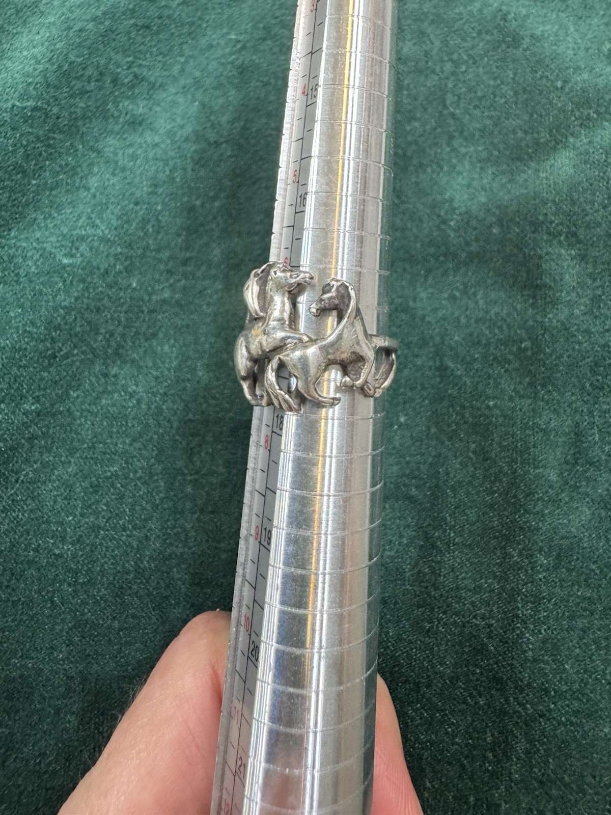 Picture 4 of 5