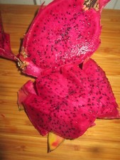 RED DRAGON FRUIT  25  SEEDS - BUY ONE GET ONE FREE