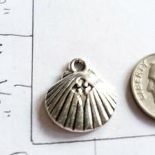 Shell charms ocean sea beach water vacation Q