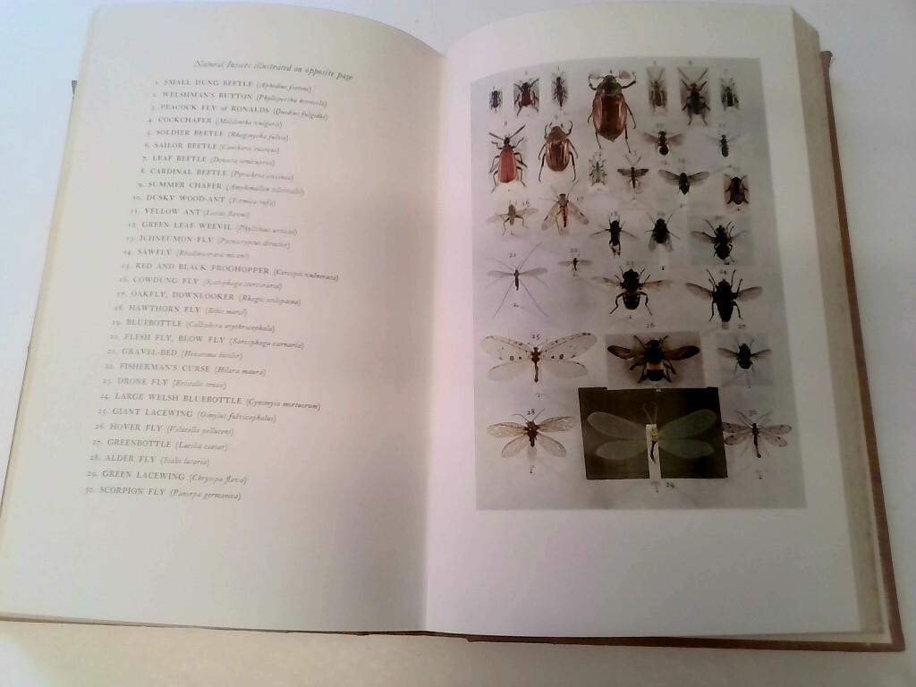 Anglers' Fishes & Natural History Vol 34 by Eric Taverner - 1957 T Seele Edition