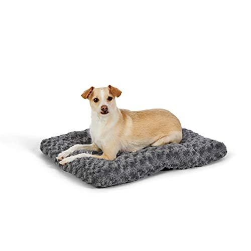 amazonbasics dog bed