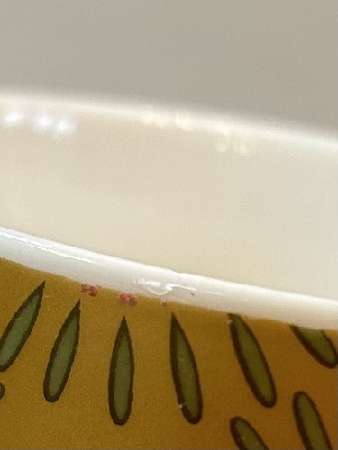 Maxwell Williams Flowerburst Latte Mug *Tiny Chip In Rim* - 第 2/8 張圖片