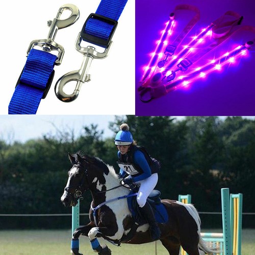 LED Horse Collar Head Breastplate Harness Neon Lights For Horseback Riding Belt - Picture 6 of 10