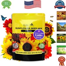 2600+ Non-GMO Sunflower Seeds Variety Pack for Vibrant Outdoor Gardens