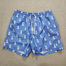 Polo Ralph Lauren Shorts Mens XL Blue Pineapple Print Mesh Lined Trunks Swim
