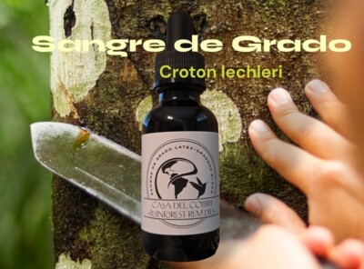 Sangre De Grado Pure Croton lechleri Sap/Latex Tapped 04/23/26 30ml