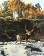 Deer Buck antler S/N W Dowdy Art Lithograph bird Ducks Unlimited artist painting