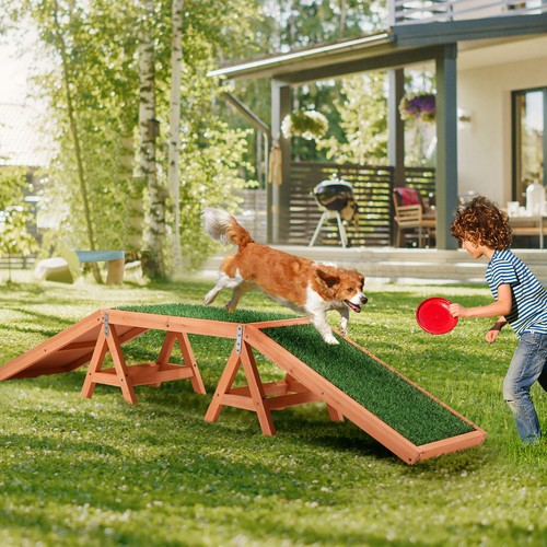 Petscene Dog Agility Training Ramp Puppy Obedience Sports Obstacle Exercise Play - Picture 10 of 11