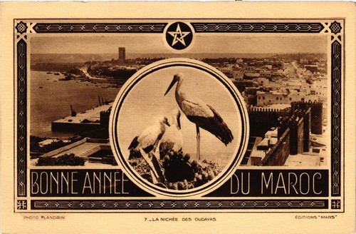 Carte Postale Ancienne CPA Maroc - Vraie Photo, Flandrin 47, Marchandes