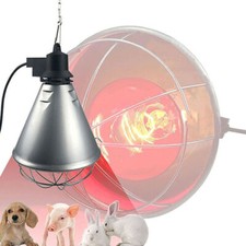 Heat Lamp Brooder With Reducer Switch +250w Bulb poultry/chicks/chickens/puppies