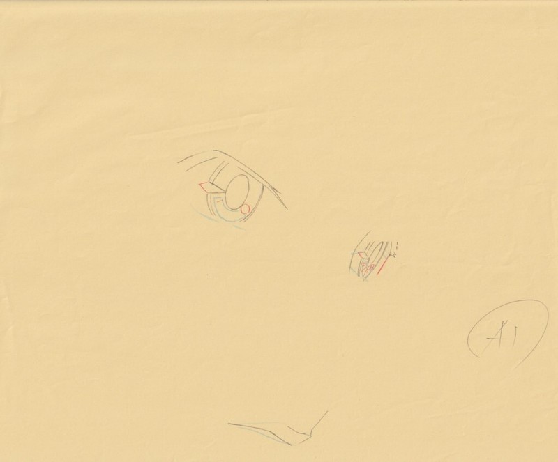 The Twelve Kingdoms Juuni Kokki Genga Douga Original Sketches Pierrot - Youko