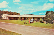 The "Sea View Apts" in North Myrtle Beach, SC Souvenir Picture Postcard - 971