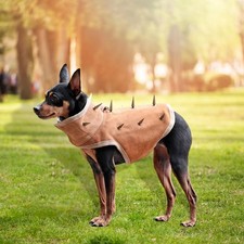 Gilet de protection respirant pour chien avec rivets à pointes pour les