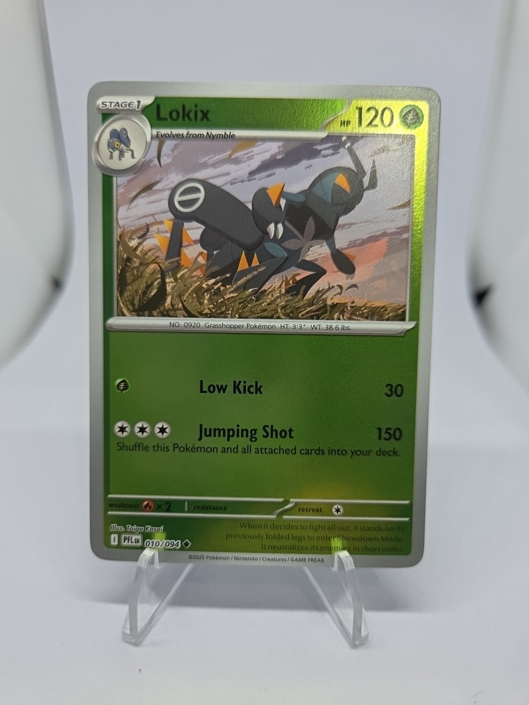 Lokix reverse holo #010/094 Pokemon Phantasmal Flames Lightly Played