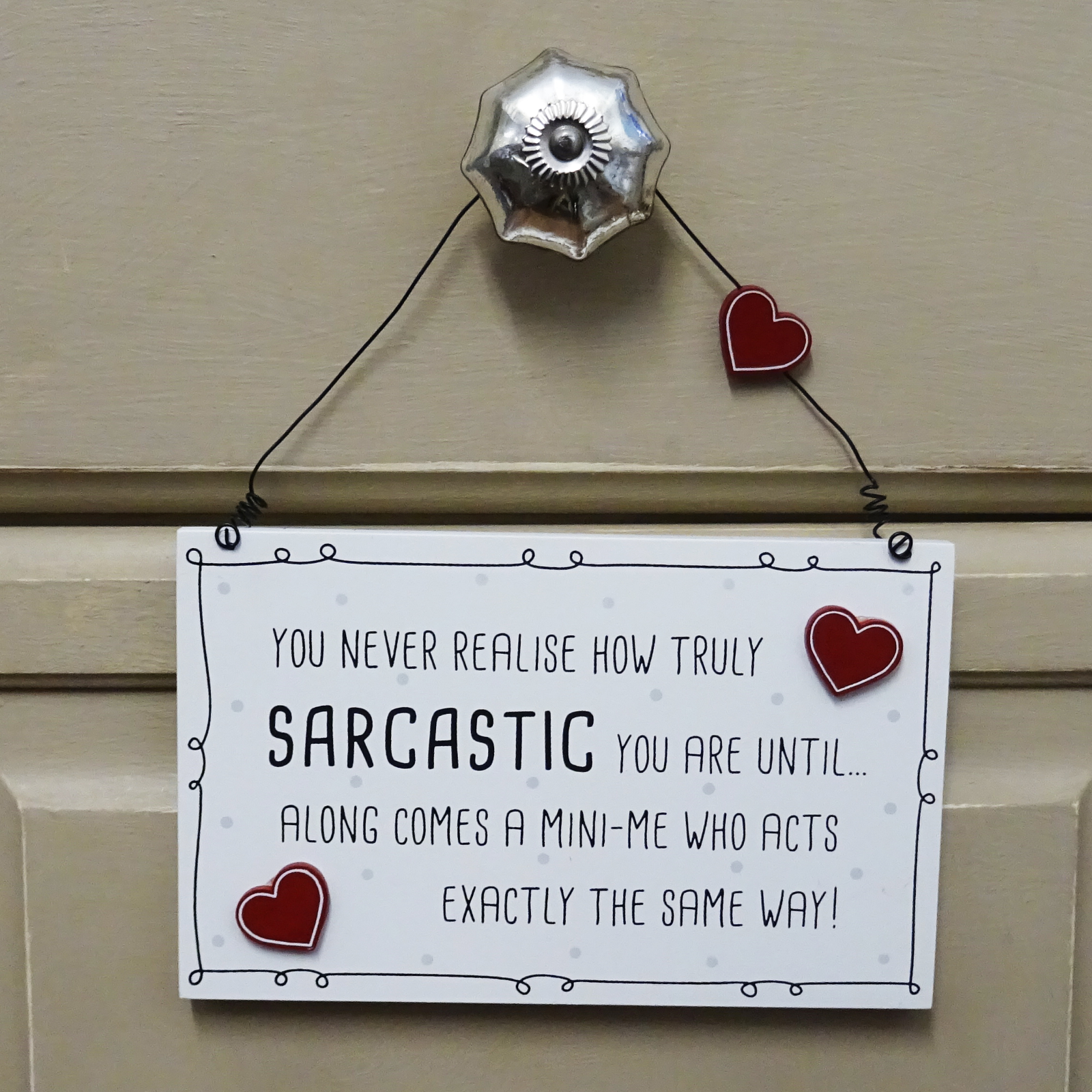 Plaque You Never Know How Sarcastic You Are Unitl Mini Me Sign Humour Fun Sign