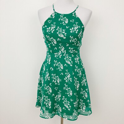 green and white skater dress Daisy Dreams Skater Dress (Lucky Clover Shamrock Green) – Holley Tea Time