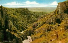 Cheddar Gorge Somerset United Kingdom UK Postcard
