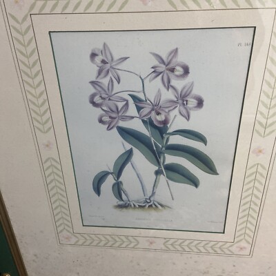 JOHN RICHARDS DESIGNS FRAMED FLORAL PRINTS | eBay