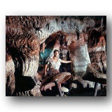 Pat Boone Henry Levin Photo 8x10 Journey To The Center Of The Earth Film Set