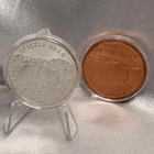 1 oz .999 Fine Silver Grizzly Bear American Wildlife Set w/Copper Round [WJ]