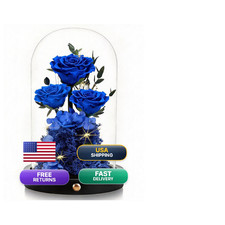 Agrul Birthday Gifts For Women Forever Preserved Flowers Roses In Glass Dome