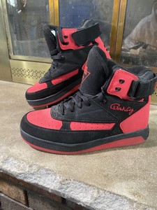 patrick ewing orion