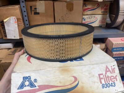 Big A 93043 Air Filter / Wix 42043
