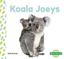 Koala Joeys Library Binding Julie Murray